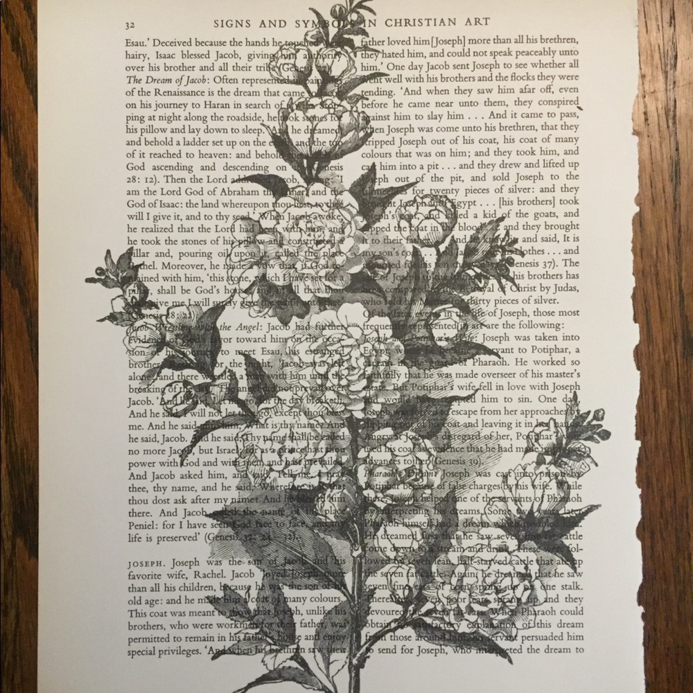 Vintage Rose Book Print